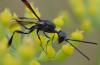 286649 – Photo : Catherine Reymonet-Smitten – France (31)